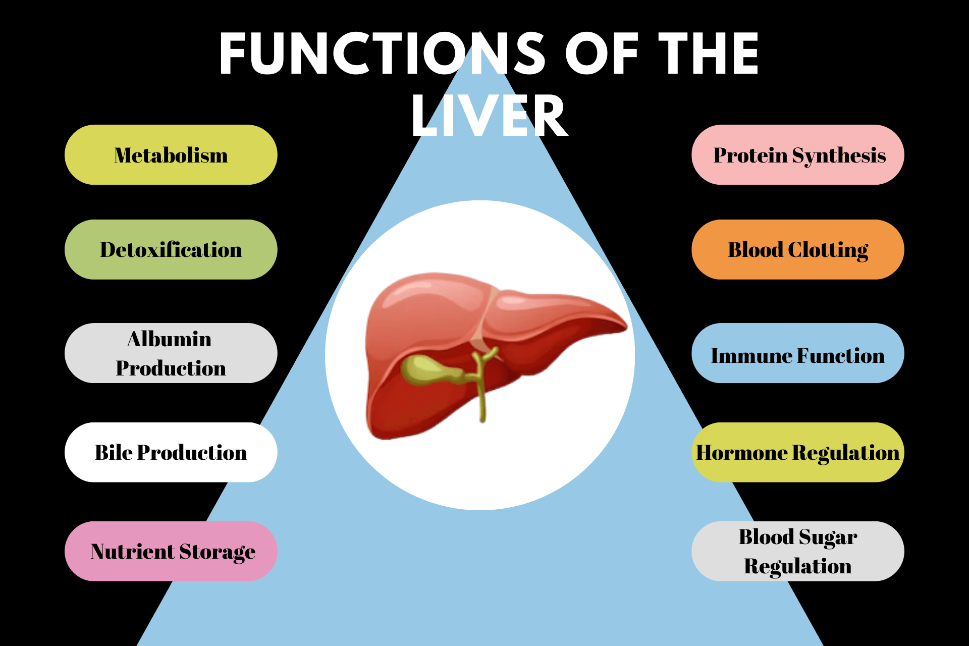 10 Functions of The Liver QPIOR