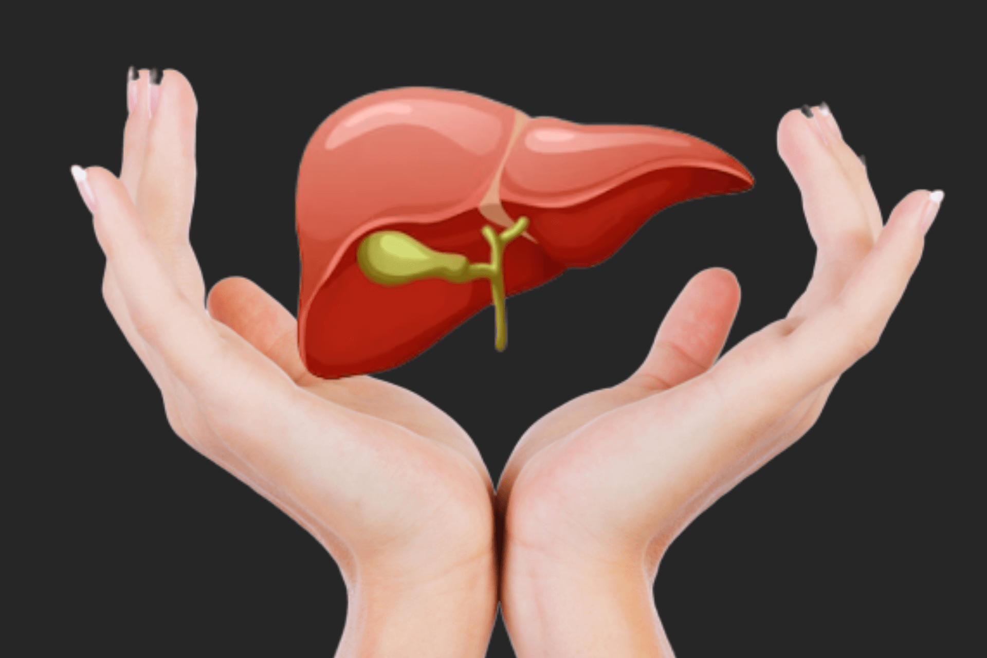 liver health tips